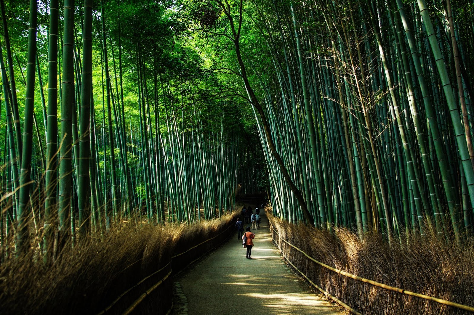 Japanese Minimalism: What Japan Can Teach You About Living Simply