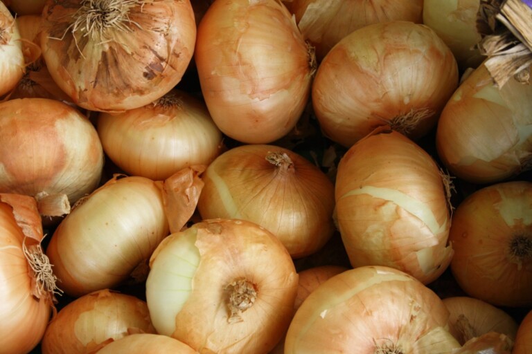 onions can help clean rust on knife