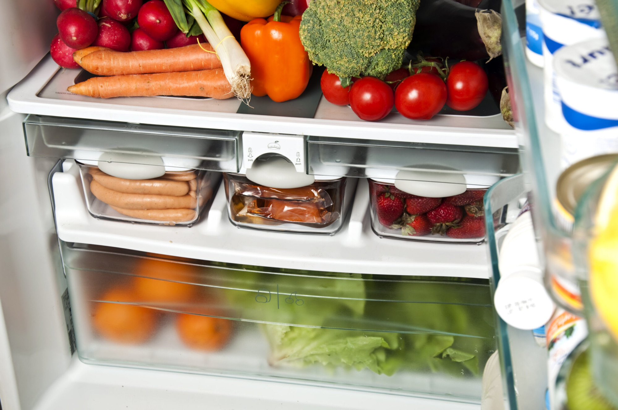 Refrigerator organised clean