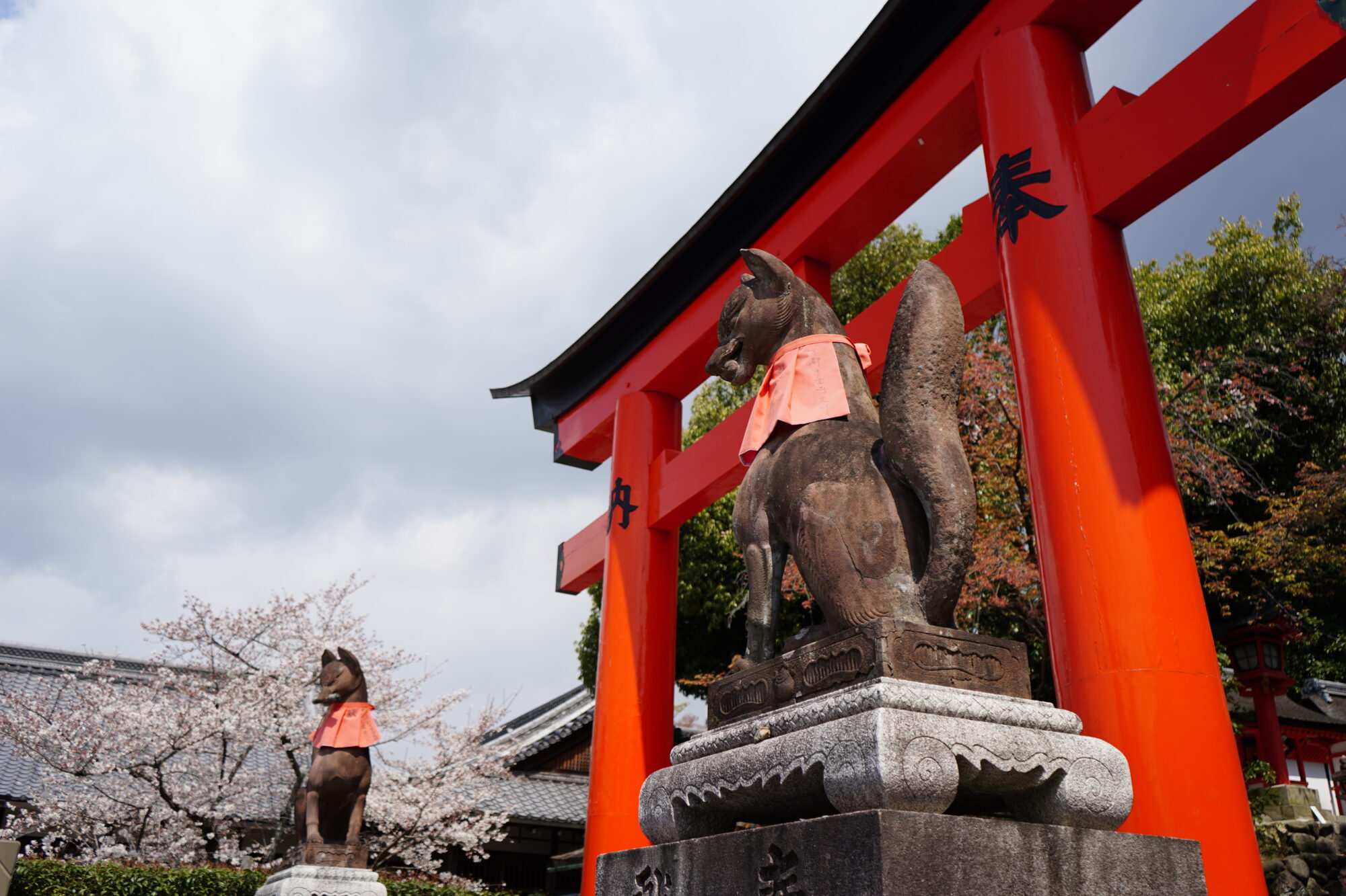 Japanese shrines and buddhist temples etiquette
